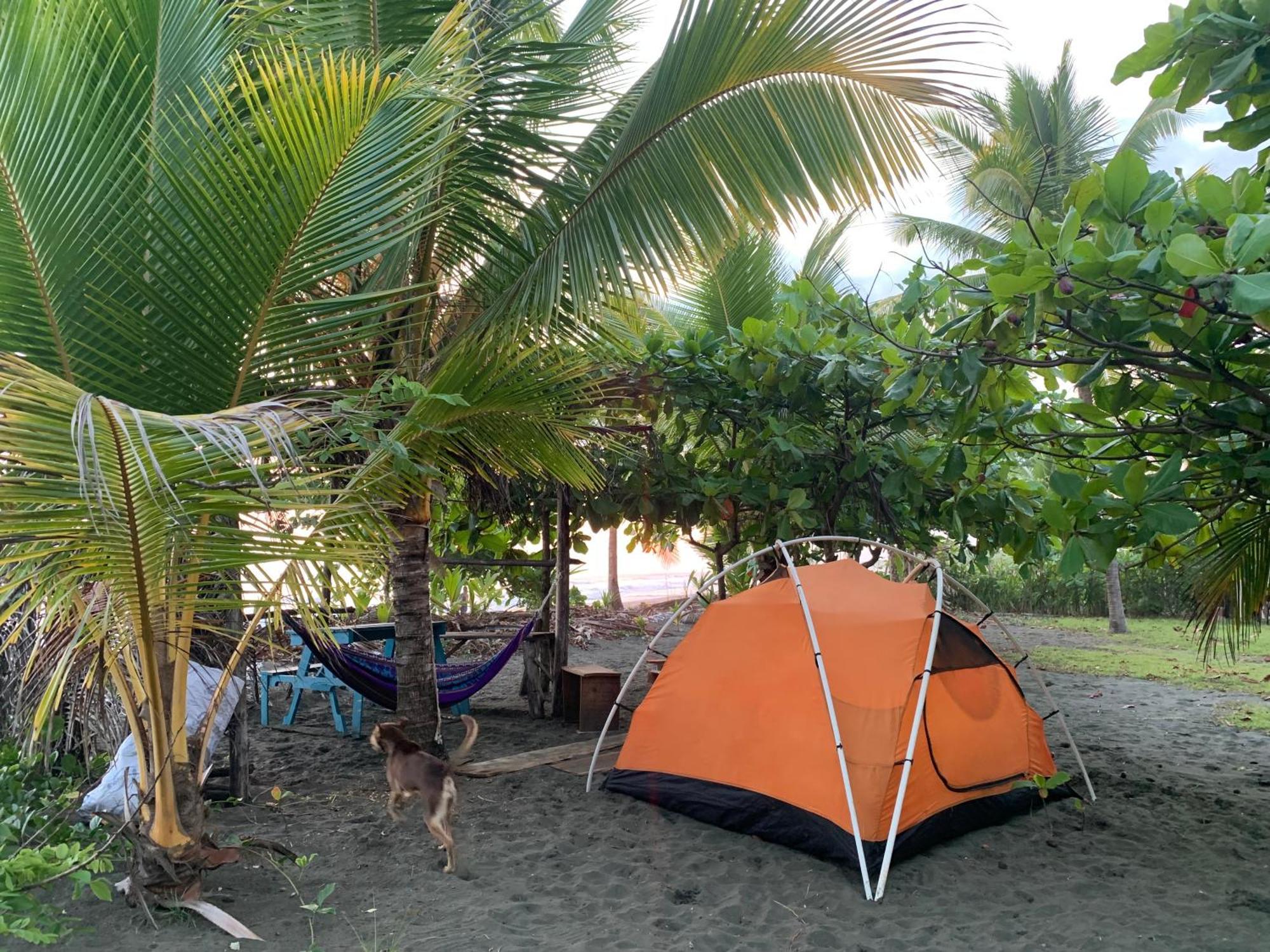 Miguel Surf Camp Hotel Quepos Bagian luar foto